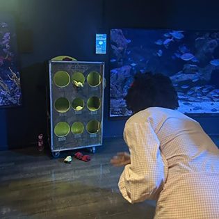 Lancer De La Mine Dor 4