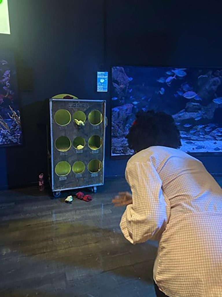 Lancer De La Mine Dor 4