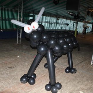 Animaux En Ballons 5