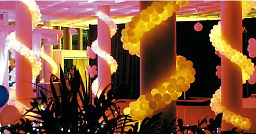 Guirlande En Ballons 2